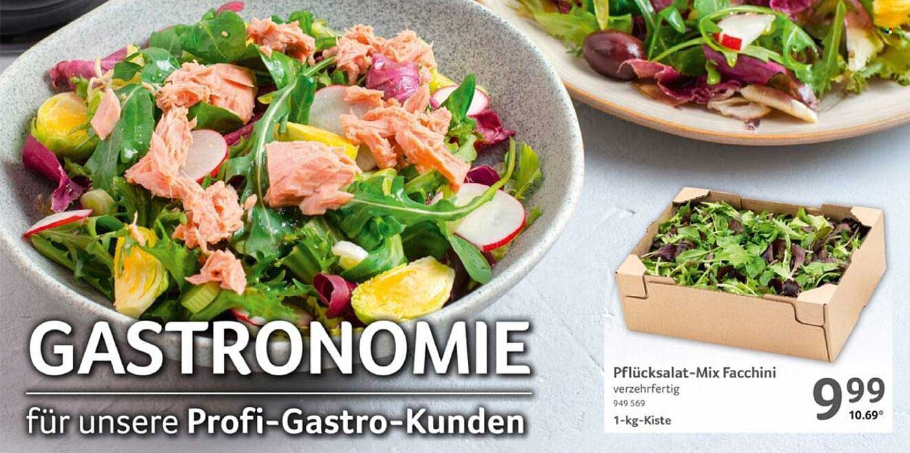 Pfücksalat-Mix Facchini 1-kg-Kiste