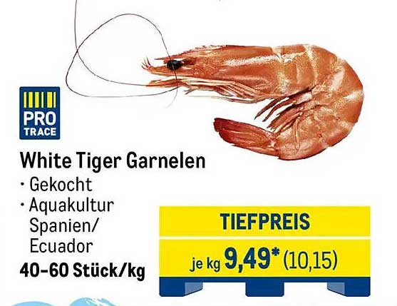 White Tiger Garnelen - Gekochte Spezialität aus Aquakultur