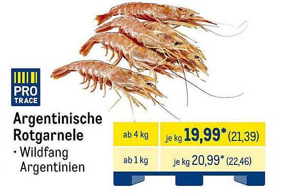 Argentinische Rotgarnelen - Wildfang aus Argentinien