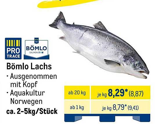 Bömlo Lachs – Ausgenommen mit Kopf, Aquakultur Norwegen