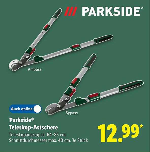 Parkside® Teleskop-Astscherer