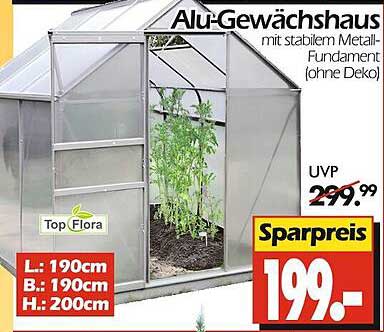 Alu-Gewächshaus mit stabilem Metall-Fundament (ohne Deko)