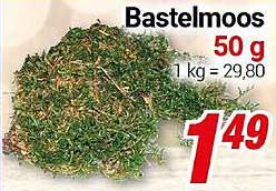 Bastelmoos 50 g - Perfekt für kreative Projekte