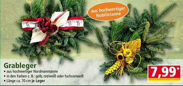 Grableger aus hochwertiger Nordmanntanne