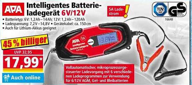 Intelligentes Batterieladegerät 6V/12V