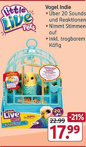 Little Live Pets Vogel Indie – Über 20 Sounds und Reaktionen mit Kasten