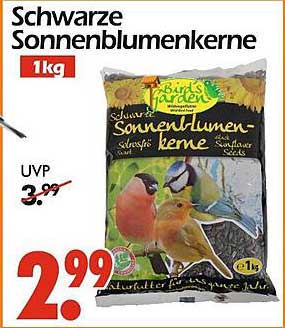 Schwarze Sonnenblumenkerne 1kg