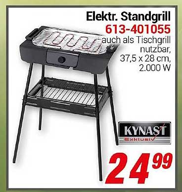 Elektr. Standgrill 613-401055