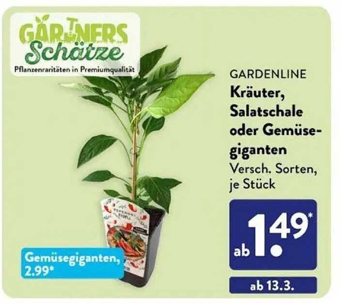 GARDENLINE Kräuter, Salatschale oder Gemüse-giganten