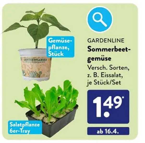 GARDENLINE Sommerbeetgemüse