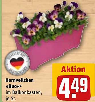 Hornveilchen »Duo« im Balkonkasten, je St.