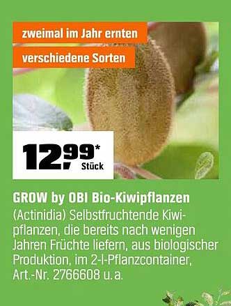 GROW by OBI Bio-Kiwipflanzen (Actinidia) Selbstfruchtende Kiwipflanzen, die bereits nach wenigen Jahren Früchte liefern, aus biologischer Produktion, im 2-l-Pflanzcontainer, Art.-Nr. 2766608 u.a.