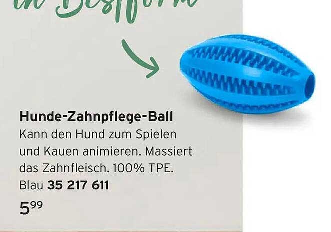 Hunde-Zahnpflege-Ball