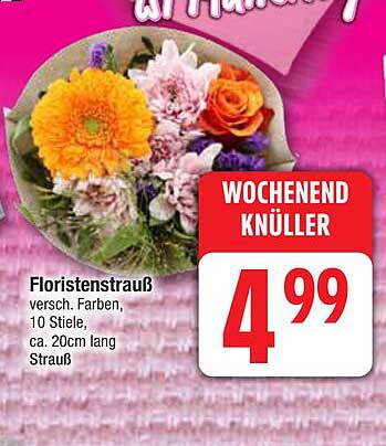 Floristenstrauß verschieden Farben, 10 Stiele, ca. 20cm lang