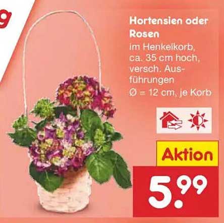 Hortensien oder Rosen im Henkelkorb, ca. 35 cm hoch