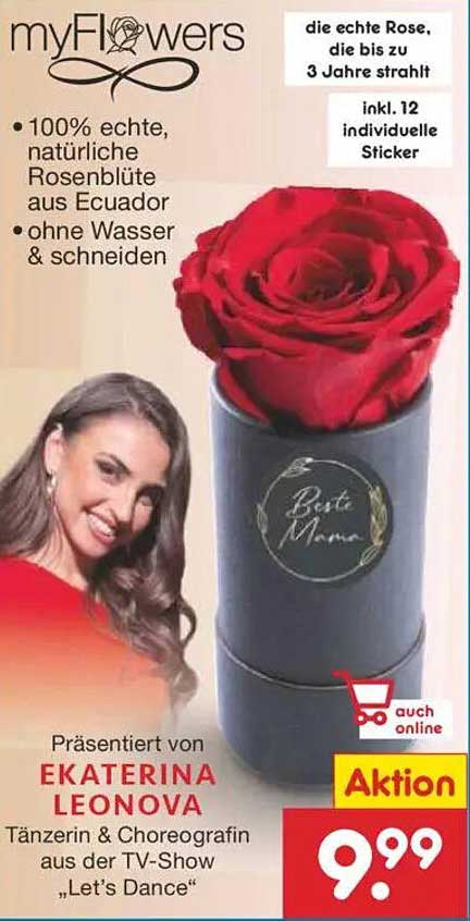 myFlowers 100% echte Rose, die bis zu 3 Jahre strahlt