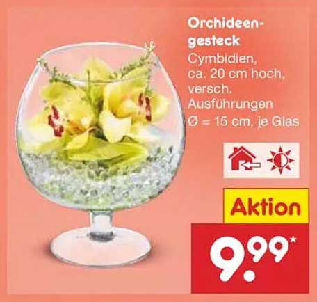 Orchideengesteck Cymbidien, ca. 20 cm hoch, verschiedene Ausführungen