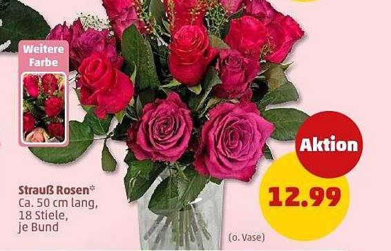 Strauß Rosen* Ca. 50 cm lang, 18 Stiele, je Bund