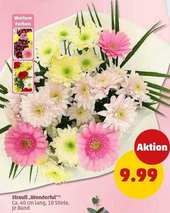 Strauß „Wonderful“: 10 Stiele für nur 9,99 €