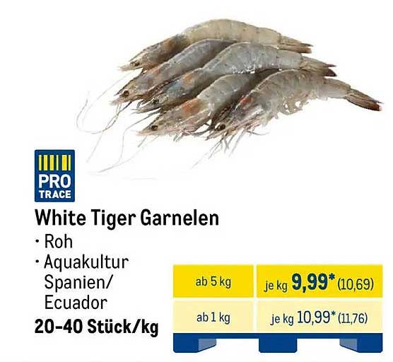 White Tiger Garnelen - Roh aus Aquakultur Spanien/Ecuador
