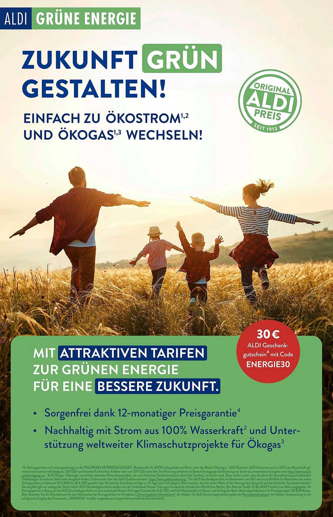 Zukunft Grün Gestalten - Wechsel zu Ökostrom und Ökogas