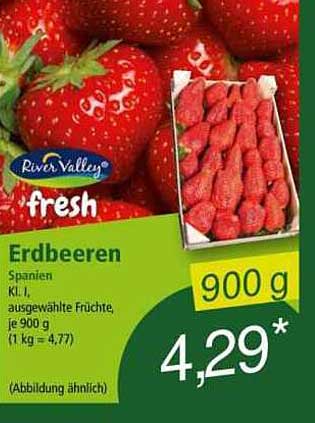 Erdbeeren