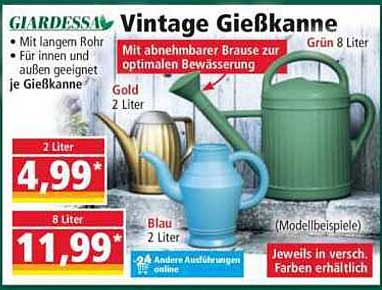 Vintage Gießkanne