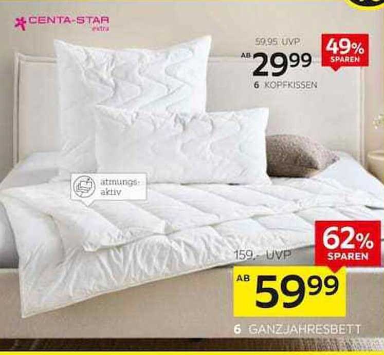 CENTA-STAR Ganzjahresbett und Kopfkissen-Set