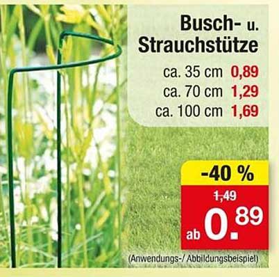 Busch- und Strauchstützen