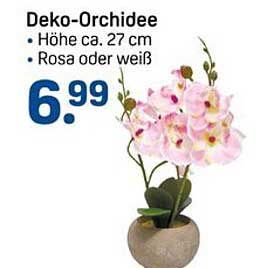 Deko-Orchidee - Höhe ca. 27 cm, Rosa oder Weiß