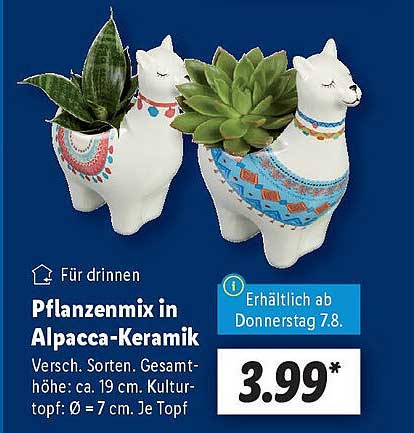 Pflanzenmix in Alpacca-Keramik