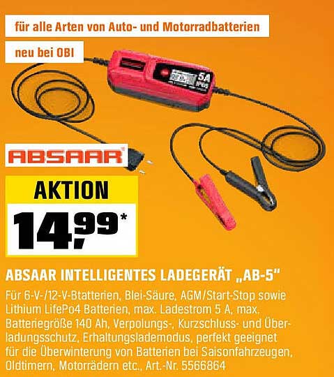 ABSAA Intelligent Ladegerät „AB-5”