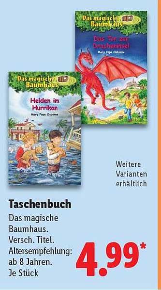 Das magische Baumhaus - Helden im Hurrikan
