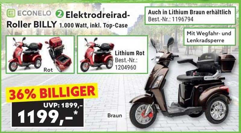 Elektrodriehrad-Roller BILLY 1.000 Watt, inkl. Top-Case