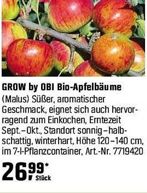 GROW by OBI Bio-Apfelbäume