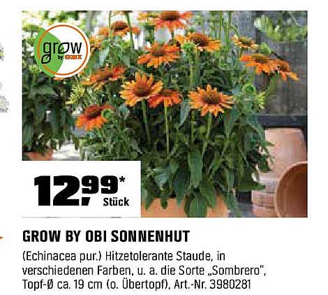 GROW BY OBI SONNENHUT