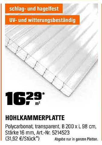 Hohlkammerplatte aus Polycarbonat - Transparent & Wetterfest