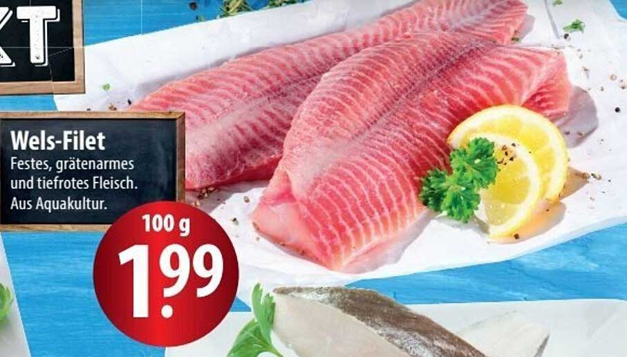Wels-Filet - Fettes, grätenarmes und tiefrotes Fleisch aus Aquakultur