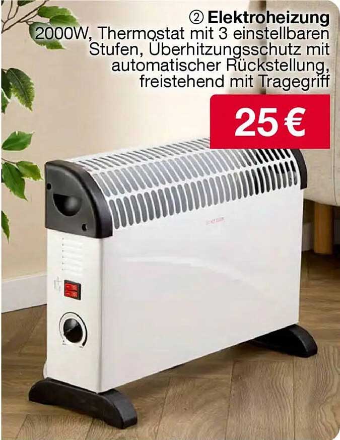 Elektroheizung 2000W mit Thermostat und Überhitzungsschutz