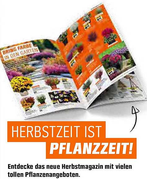 HERBSTZEIT IST PFLANZZEIT! Entdecke das neue Herbstmagazin mit vielen tollen Pflanzenangeboten.