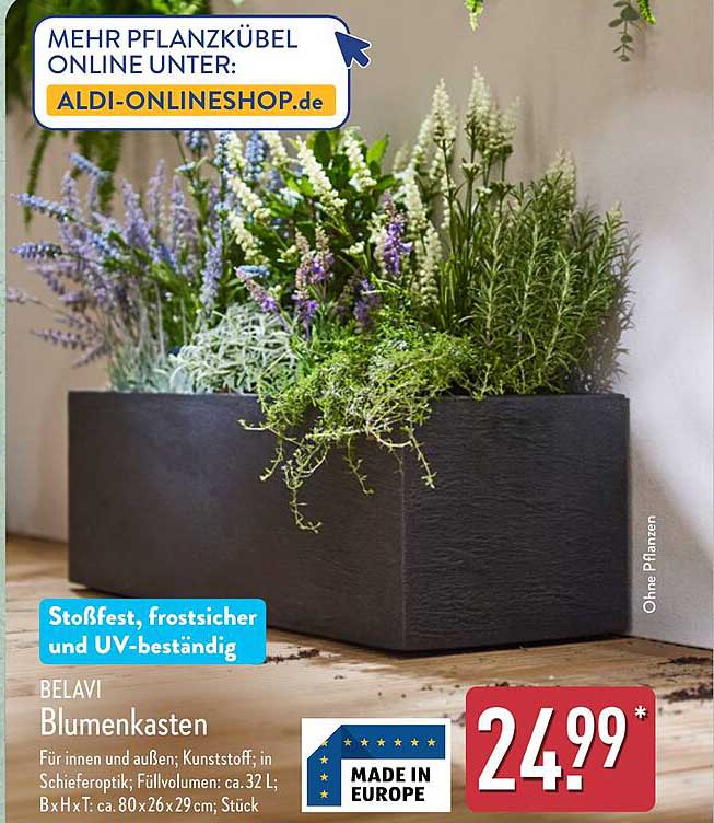 Aldi Blumenkasten Gelander