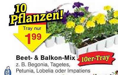 Beet- & Balkon-Mix 10er-Tray für nur 1,99 €