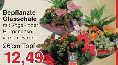 Bepflanzte Glasschale mit Vogel- oder Blumendeko, 26 cm Topf