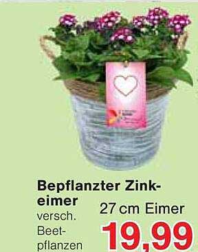 Bepflanzter Zinkeimer 27 cm mit verschiedenen Beetpflanzen