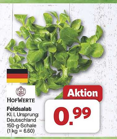 Feldsalat Kl. I, Herkunft: Deutschland - 150-g-Schale
