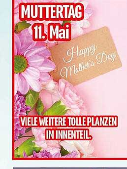 Geschenkpflanzen zum Muttertag – Vielfalt für jeden Geschmack