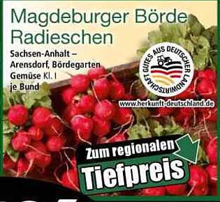 Magdeburger Börde Radieschen – 3er Bund zum regionalen Tiefpreis