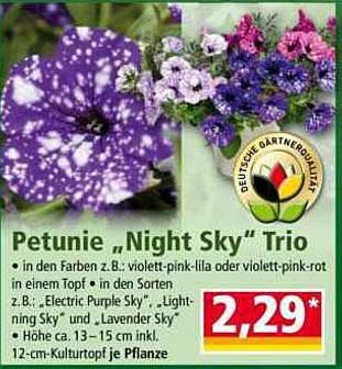 Petunie "Night Sky" Trio