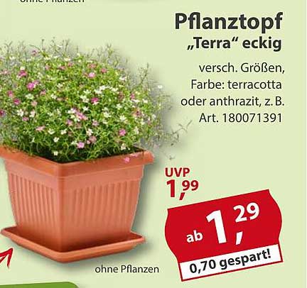 Pflanztopf "Terra" eckig