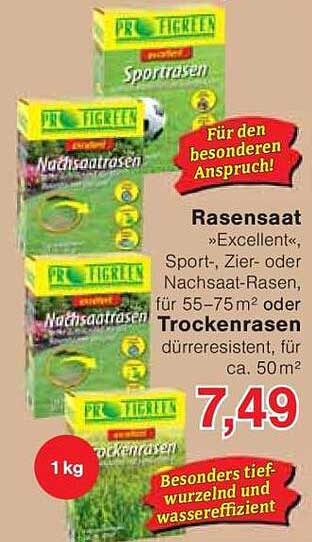 Rasensaat »Excellent« - Sport-, Zier- oder Nachsaat-Rasen